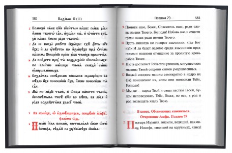 Псалтирь учебная. На церковно-славянском языке с параллельным переводом на русский язык П. Юнгерова